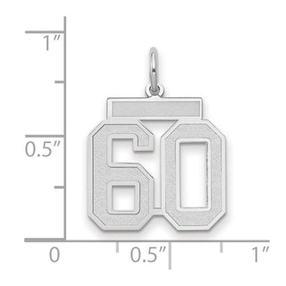14k White Gold Medium Satin Number 60 Charm