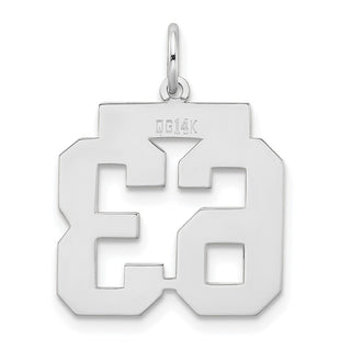14k White Gold Medium Satin Number 63 Charm