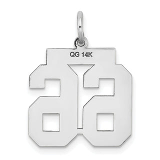 14k White Gold Medium Satin Number 66 Charm