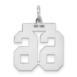 14k White Gold Medium Satin Number 66 Charm