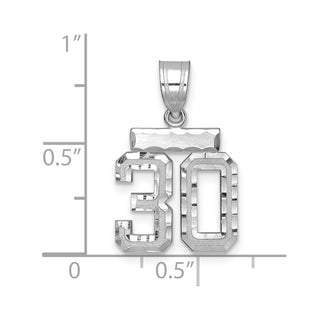 14K White Gold Small Diamond-cut Number 30 Charm