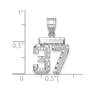 14K White Gold Small Diamond-cut Number 37 Charm