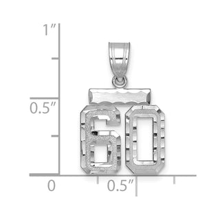 14K White Gold Small Diamond-cut Number 60 Charm