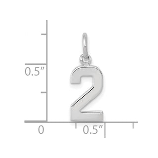 14k White Gold Small Polished Number 2 Charm