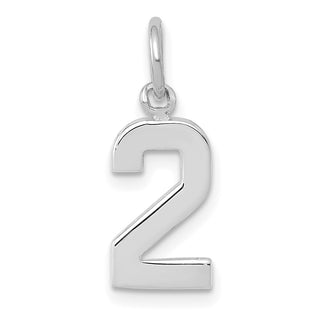 14k White Gold Small Polished Number 2 Charm