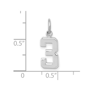14k White Gold Small Polished Number 3 Charm