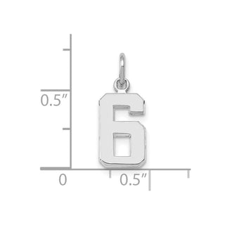 14k White Gold Small Polished Number 6 Charm
