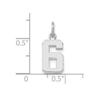 14k White Gold Small Polished Number 6 Charm