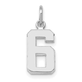 14k White Gold Small Polished Number 6 Charm