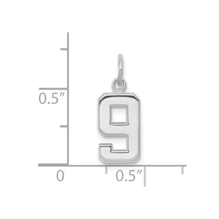 14k White Gold Small Polished Number 9 Charm