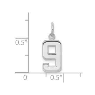 14k White Gold Small Polished Number 9 Charm
