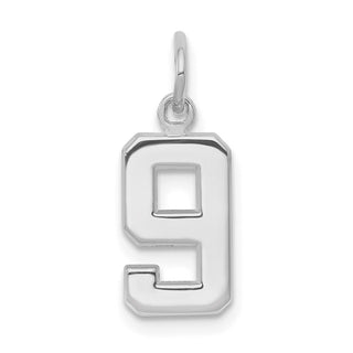 14k White Gold Small Polished Number 9 Charm