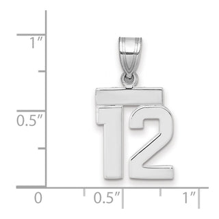 14k White Gold Small Polished Number 12 Pendant