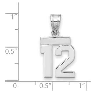 14k White Gold Small Polished Number 12 Pendant