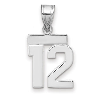 14k White Gold Small Polished Number 12 Pendant