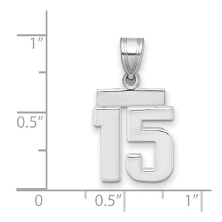 14k White Gold Small Polished Number 15 Pendant