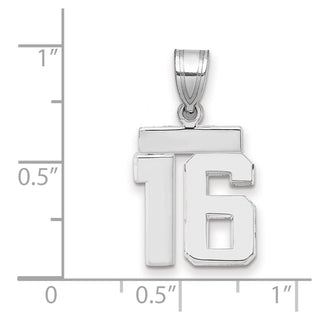 14k White Gold Small Polished Number 16 Charm