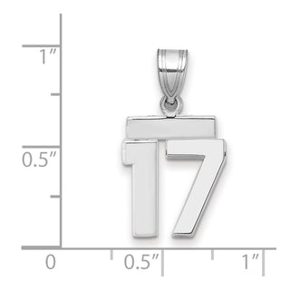 14k White Gold Small Polished Number 17 Pendant