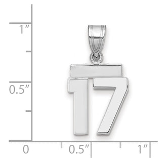 14k White Gold Small Polished Number 17 Pendant