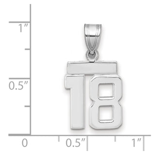 14k White Gold Small Polished Number 18 Charm