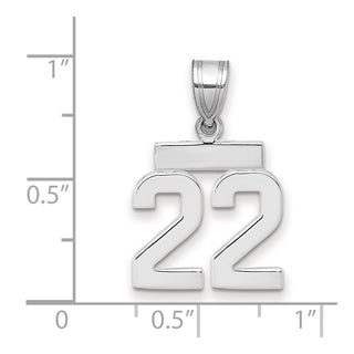 14k White Gold Small Polished Number 22 Pendant