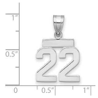 14k White Gold Small Polished Number 22 Pendant
