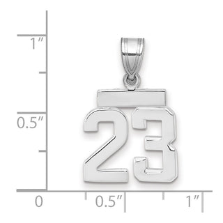 14k White Gold Small Polished Number 23 Pendant