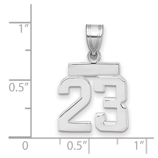 14k White Gold Small Polished Number 23 Pendant