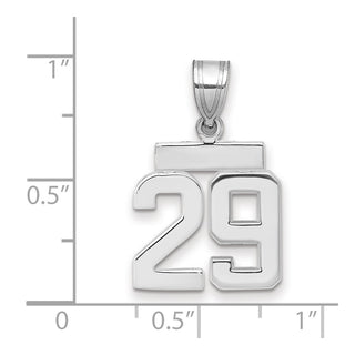 14k White Gold Small Polished Number 29 Pendant