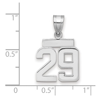 14k White Gold Small Polished Number 29 Charm
