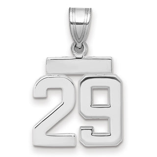 14k White Gold Small Polished Number 29 Pendant