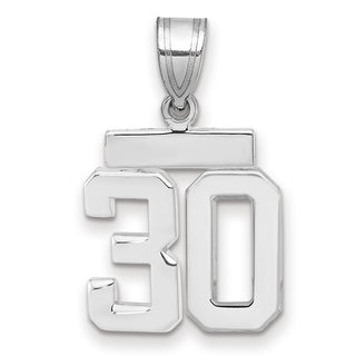 14k White Gold Small Polished Number 30 Charm