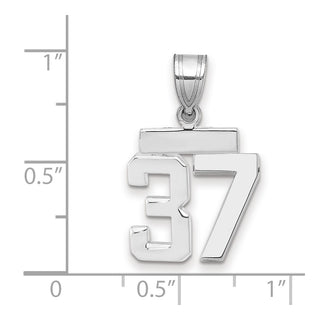 14k White Gold Small Polished Number 37 Pendant
