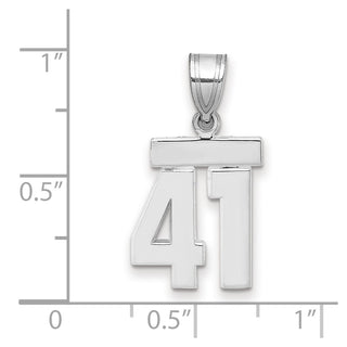 14k White Gold Small Polished Number 41 Charm