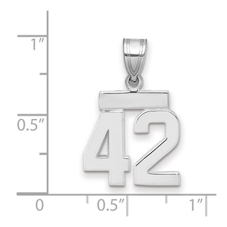 14k White Gold Small Polished Number 42 Pendant