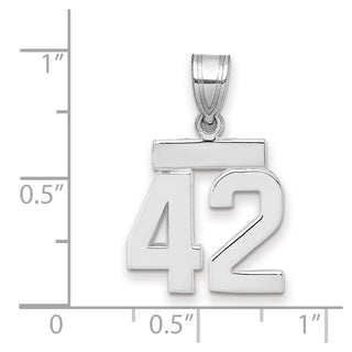 14k White Gold Small Polished Number 42 Pendant