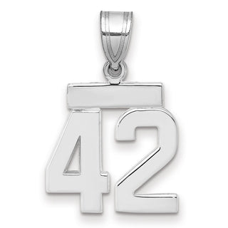 14k White Gold Small Polished Number 42 Pendant