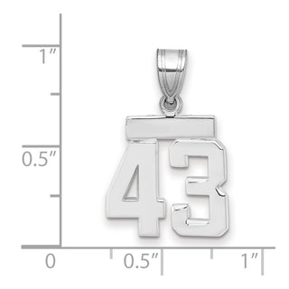 14k White Gold Small Polished Number 43 Pendant