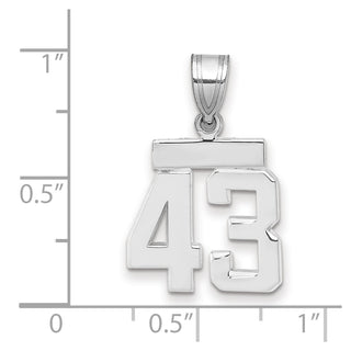 14k White Gold Small Polished Number 43 Pendant