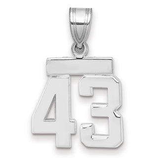 14k White Gold Small Polished Number 43 Pendant