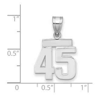 14k White Gold Small Polished Number 45 Pendant