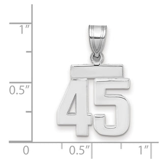 14k White Gold Small Polished Number 45 Charm