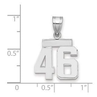14k White Gold Small Polished Number 46 Pendant