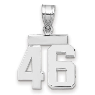 14k White Gold Small Polished Number 46 Pendant