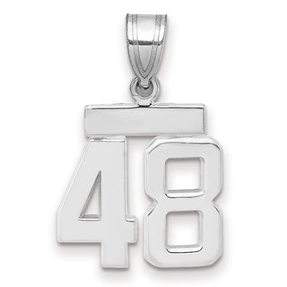 14k White Gold Small Polished Number 48 Pendant