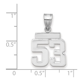 14k White Gold Small Polished Number 53 Pendant