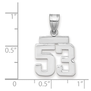 14k White Gold Small Polished Number 53 Pendant