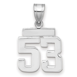 14k White Gold Small Polished Number 53 Pendant