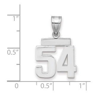 14k White Gold Small Polished Number 54 Pendant