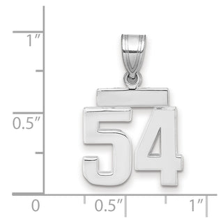14k White Gold Small Polished Number 54 Charm